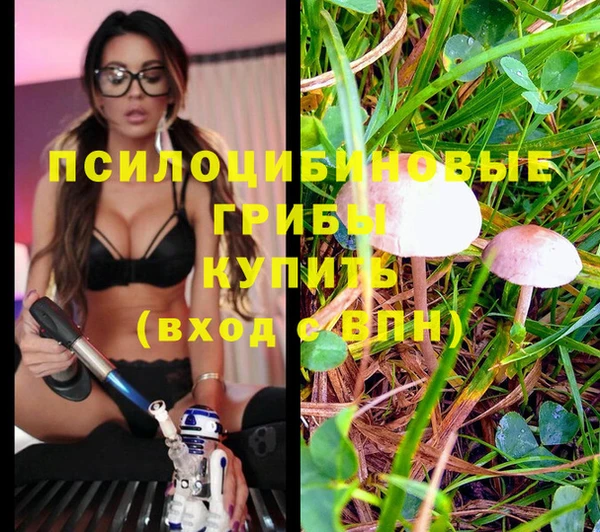 крисы Алексеевка