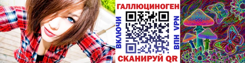 закладки  ОМГ ОМГ зеркало  Псилоцибиновые грибы мицелий  Барыш 