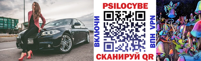 Галлюциногенные грибы Psilocybe Барыш